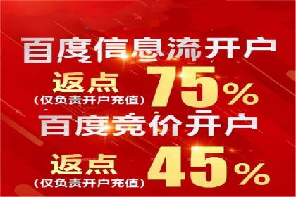 行业领先的SEM投放效果案例解析